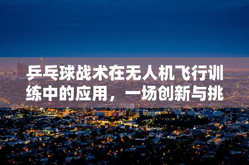乒乓球战术在无人机飞行训练中的应用，一场创新与挑战的交汇