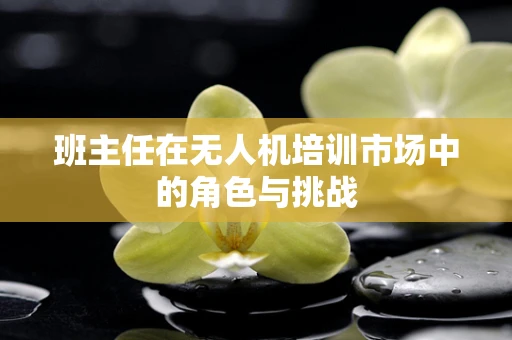 班主任在无人机培训市场中的角色与挑战