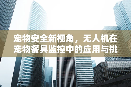 宠物安全新视角，无人机在宠物餐具监控中的应用与挑战