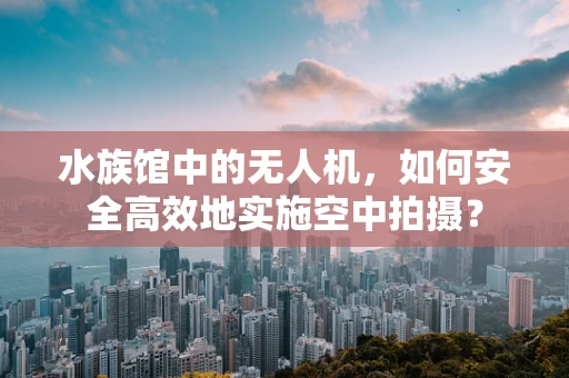 水族馆中的无人机，如何安全高效地实施空中拍摄？