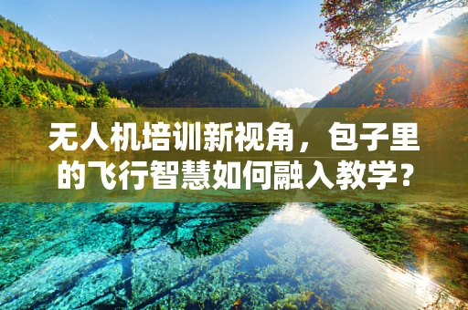 无人机培训新视角，包子里的飞行智慧如何融入教学？