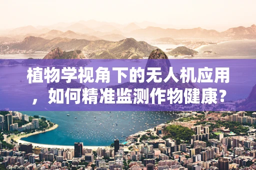植物学视角下的无人机应用，如何精准监测作物健康？