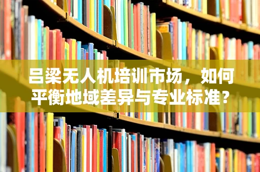 吕梁无人机培训市场，如何平衡地域差异与专业标准？