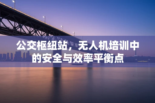 公交枢纽站，无人机培训中的安全与效率平衡点