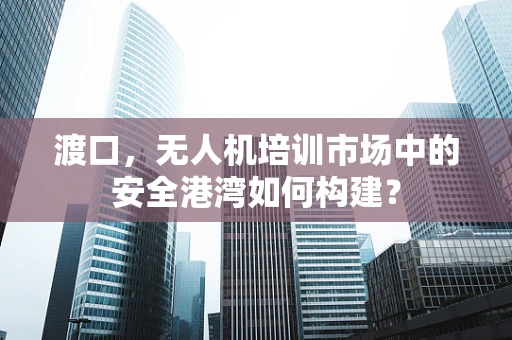 渡口，无人机培训市场中的安全港湾如何构建？