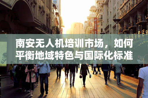 南安无人机培训市场，如何平衡地域特色与国际化标准？