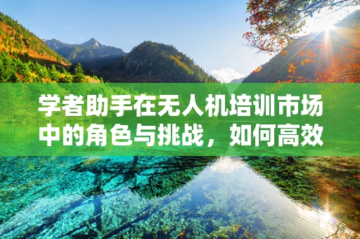 学者助手在无人机培训市场中的角色与挑战，如何高效辅助学习？
