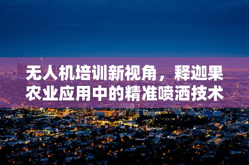 无人机培训新视角，释迦果农业应用中的精准喷洒技术如何提升？