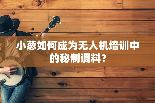 小葱如何成为无人机培训中的秘制调料？