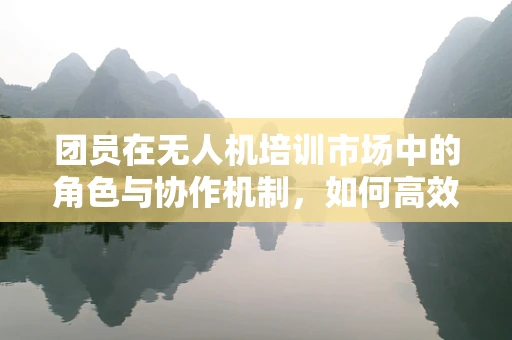团员在无人机培训市场中的角色与协作机制，如何高效组织与激励？