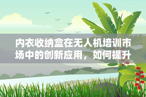 内衣收纳盒在无人机培训市场中的创新应用，如何提升学员装备管理效率？