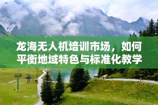 龙海无人机培训市场，如何平衡地域特色与标准化教学？