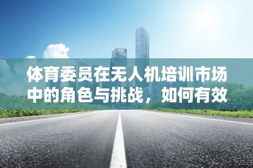 体育委员在无人机培训市场中的角色与挑战，如何有效组织与激发团队潜能？