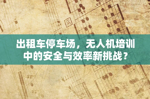 出租车停车场，无人机培训中的安全与效率新挑战？