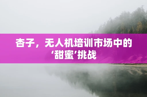 杏子，无人机培训市场中的‘甜蜜’挑战