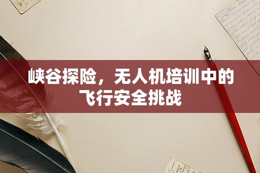 峡谷探险，无人机培训中的飞行安全挑战