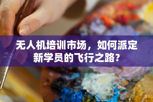 无人机培训市场，如何派定新学员的飞行之路？