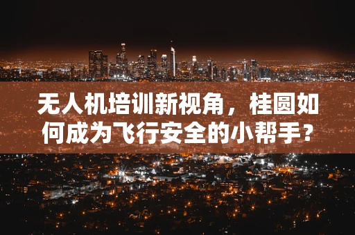 无人机培训新视角，桂圆如何成为飞行安全的小帮手？