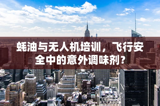 蚝油与无人机培训，飞行安全中的意外调味剂？
