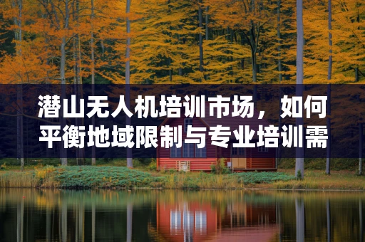 潜山无人机培训市场，如何平衡地域限制与专业培训需求？