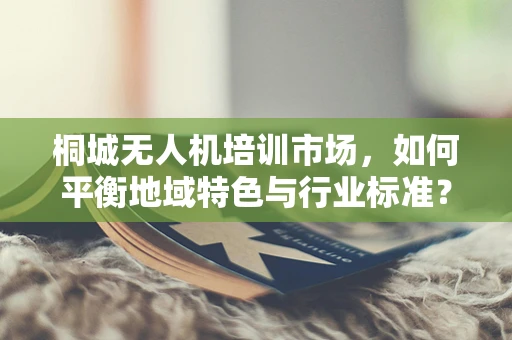 桐城无人机培训市场，如何平衡地域特色与行业标准？