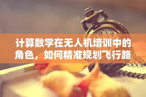 计算数学在无人机培训中的角色，如何精准规划飞行路径？