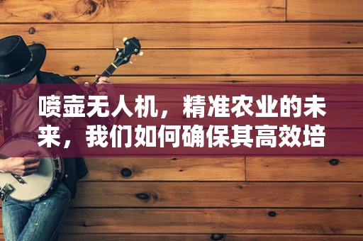 喷壶无人机，精准农业的未来，我们如何确保其高效培训？