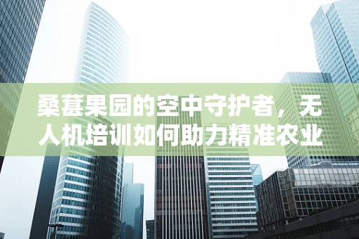 桑葚果园的空中守护者，无人机培训如何助力精准农业？