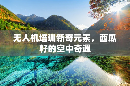 无人机培训新奇元素，西瓜籽的空中奇遇