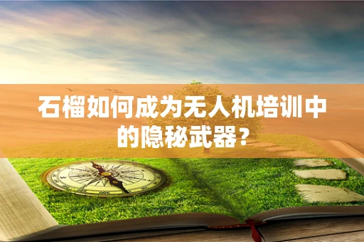 石榴如何成为无人机培训中的隐秘武器？