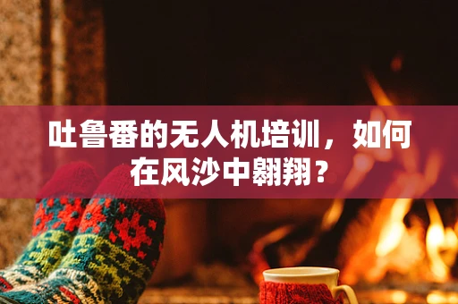 吐鲁番的无人机培训，如何在风沙中翱翔？
