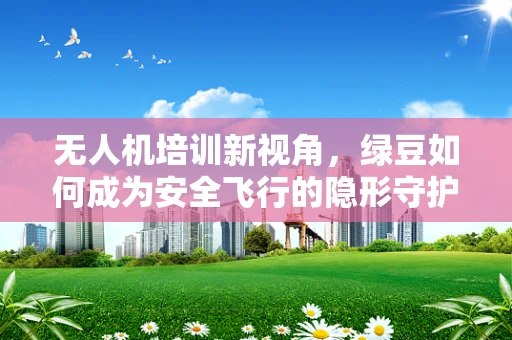 无人机培训新视角，绿豆如何成为安全飞行的隐形守护者？