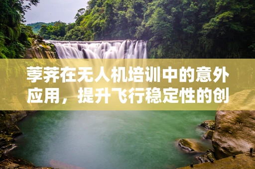 荸荠在无人机培训中的意外应用，提升飞行稳定性的创新策略？