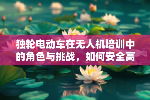 独轮电动车在无人机培训中的角色与挑战，如何安全高效地结合两者？