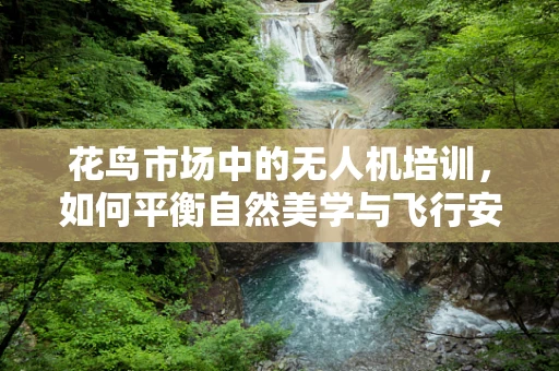 花鸟市场中的无人机培训，如何平衡自然美学与飞行安全？