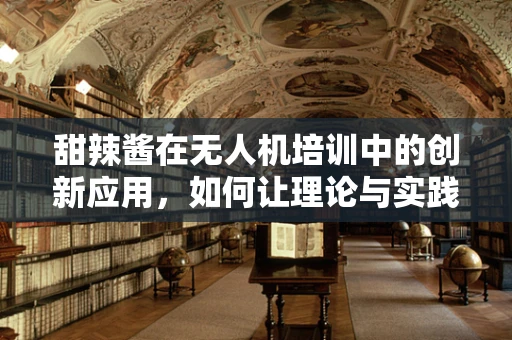 甜辣酱在无人机培训中的创新应用，如何让理论与实践甜蜜结合？