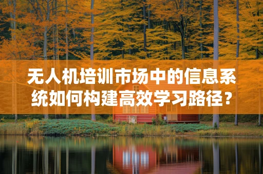 无人机培训市场中的信息系统如何构建高效学习路径？