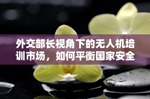 外交部长视角下的无人机培训市场，如何平衡国家安全与技术创新？