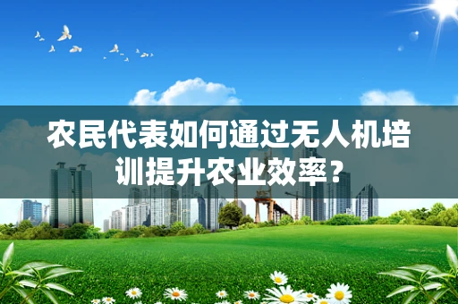 农民代表如何通过无人机培训提升农业效率？