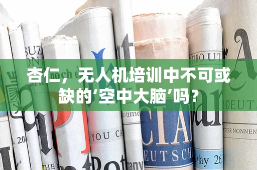 杏仁，无人机培训中不可或缺的‘空中大脑’吗？
