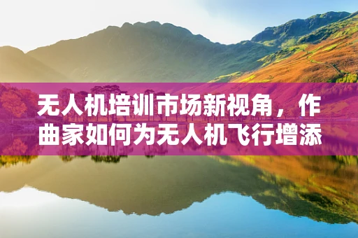 无人机培训市场新视角，作曲家如何为无人机飞行增添艺术灵魂？