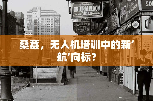 桑葚，无人机培训中的新‘航’向标？