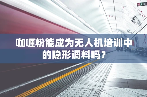 咖喱粉能成为无人机培训中的隐形调料吗？