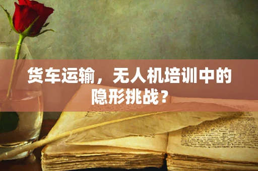 货车运输，无人机培训中的隐形挑战？