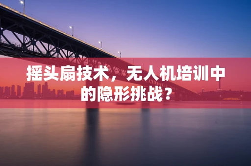摇头扇技术，无人机培训中的隐形挑战？
