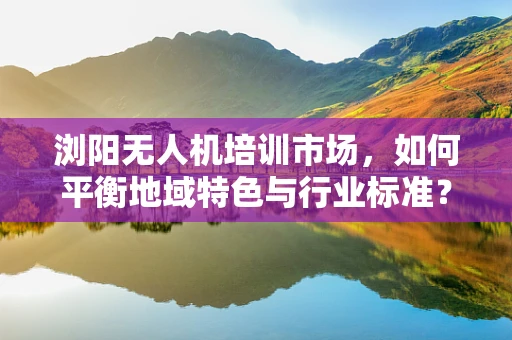 浏阳无人机培训市场，如何平衡地域特色与行业标准？