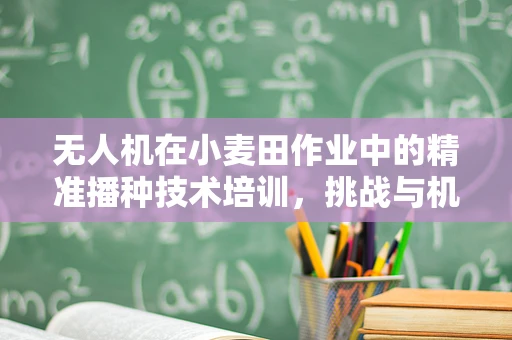 无人机在小麦田作业中的精准播种技术培训，挑战与机遇