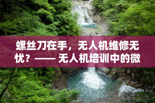螺丝刀在手，无人机维修无忧？—— 无人机培训中的微小却关键技能