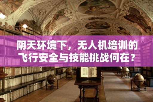 阴天环境下，无人机培训的飞行安全与技能挑战何在？