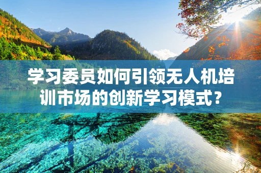 学习委员如何引领无人机培训市场的创新学习模式？